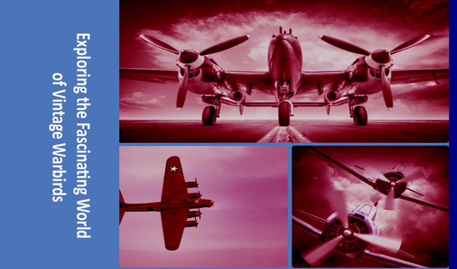 Exploring the Fascinating World of Vintage Warbirds